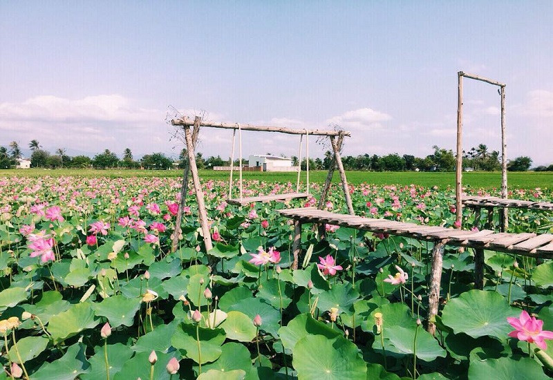 Thuê xe du lịch đi Đồng Tháp